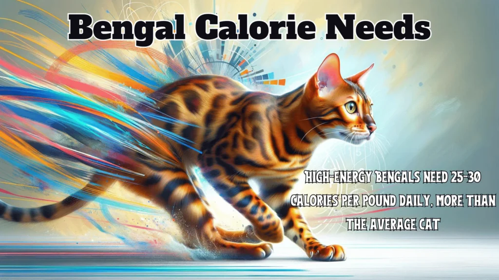 Visual showing the calorie count per pound of body weight for Bengal Cats