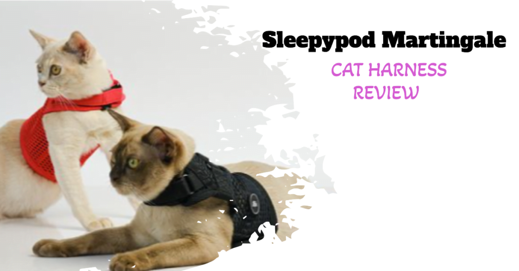 Sleepypod Martingale Cat Harness Review: Exploring with Ease