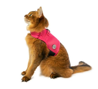 Sleepypod Martingale Cat Harness Strawberry red Image