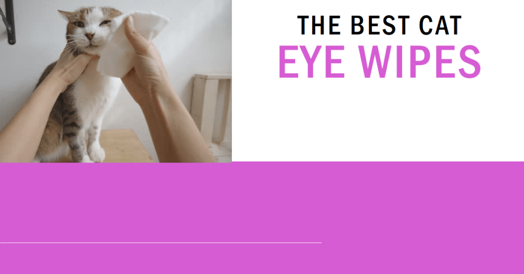 5 Best Cat Eye Wipes to Keep Those Kitty Peepers Sparkling