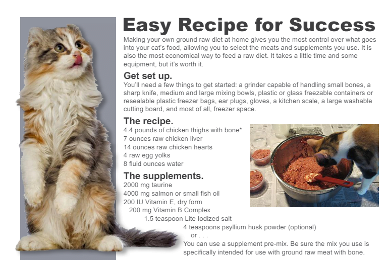 Image of a raw cat food recipe, which is a great example of how to feed a Bengal cat.