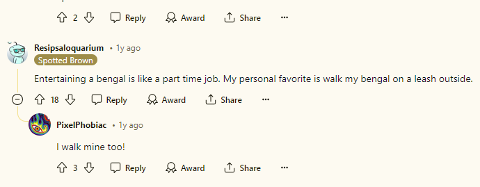 Comments from Reddit show Bengal owners saying that Bengals are like a part-time job due to their high energy levels.