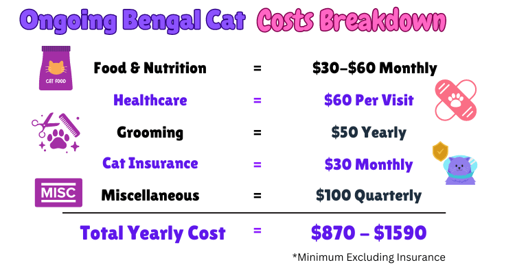 Infographic showing the breakdown of ongoing costs of a Bengal Cat