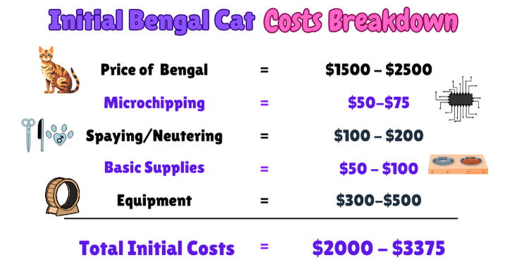 Infographic showing the breakdown of the initial costs of a Bengal Cat