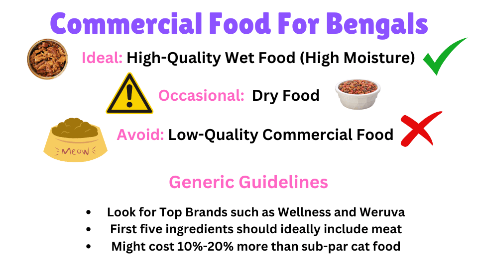 Key takeaways infographic for a commercial diet for Bengal cats