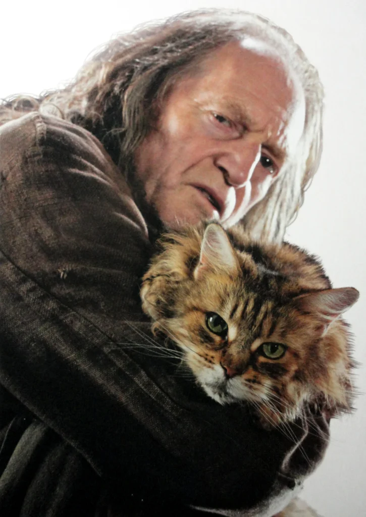 Mrs Norris in harry potter was a maine coon cat breed