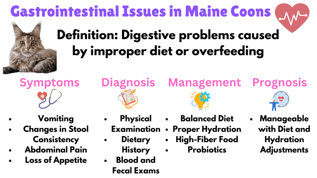 Visual Showing gastrointestinal issues as a lifestyle health issue for Maine Coons