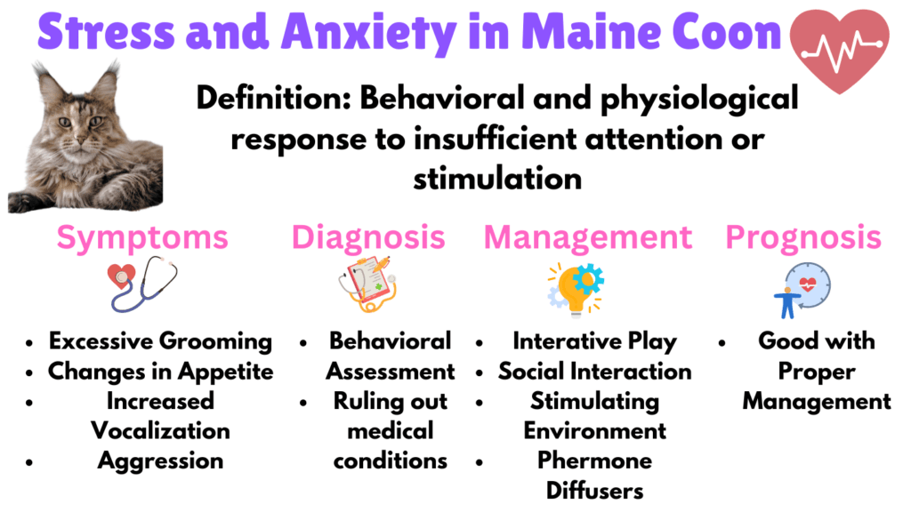 Visual Showing stress and anxiety as a lifestyle health issue for Maine coons