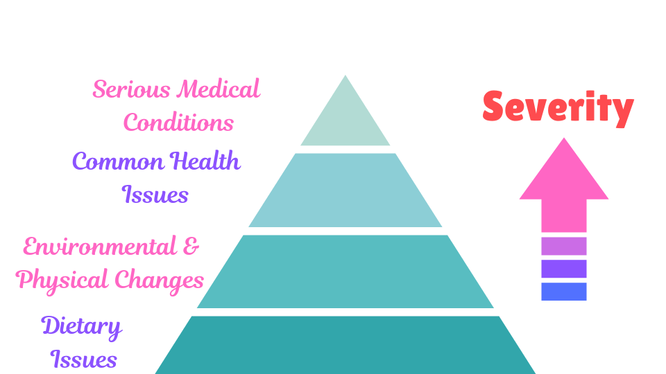 A pyramid Showing the reasons of a cat losing weight by severity