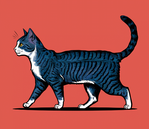 Illustration of a healthy Weight Cat