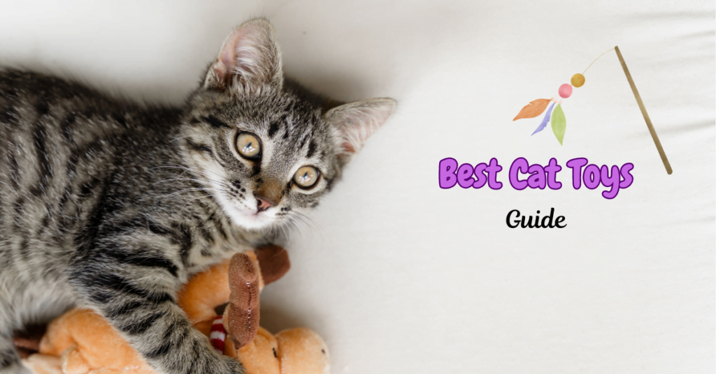 Best Cat Toys Featured Image