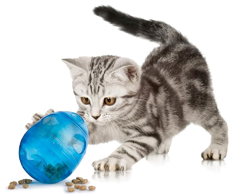 PetSafe SlimCat Interactive Feeder listed as one of the best cat toys