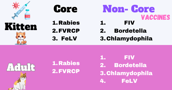 Visual Making Distinction between Core and non-core Vaccines for cats with the FVRCP being one of the Core Vaccines for both kittens and adult cats