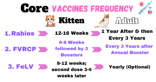 Visual illustrating vaccination schedule for core cat vaccines