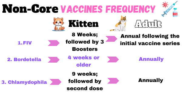 Visual illustrating vaccination schedule for core cat vaccines.