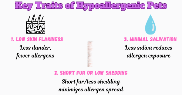 Infographic showing Key Traits of Hypoallergenic Pets