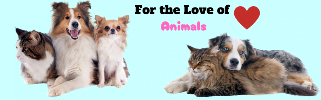 Playful animals including various cat breeds in a heartwarming scene for the love of animals Hero image v2