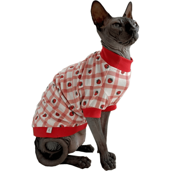 Sphynx Hairless Cat Summer T-Shirts checkered strawberry