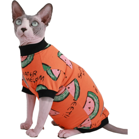 Sphynx Hairless Cat Summer T-Shirts orange watermelon