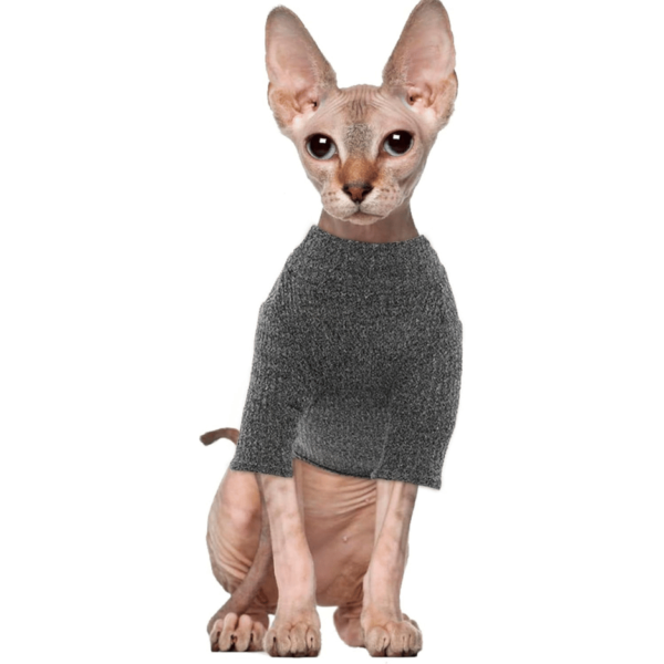 Sphynx Hairless Cats green Sweater