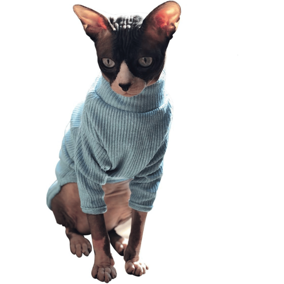 Sphynx Hairless Cats blue Sweater