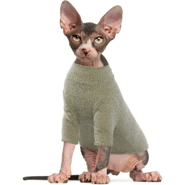 Sphynx Hairless Cats green Sweater