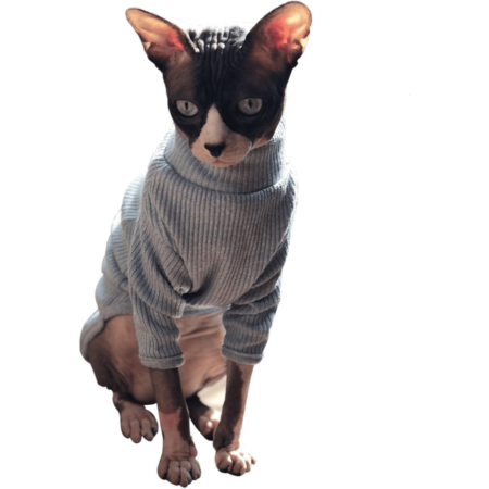 Sphynx Hairless Cats grey Sweater