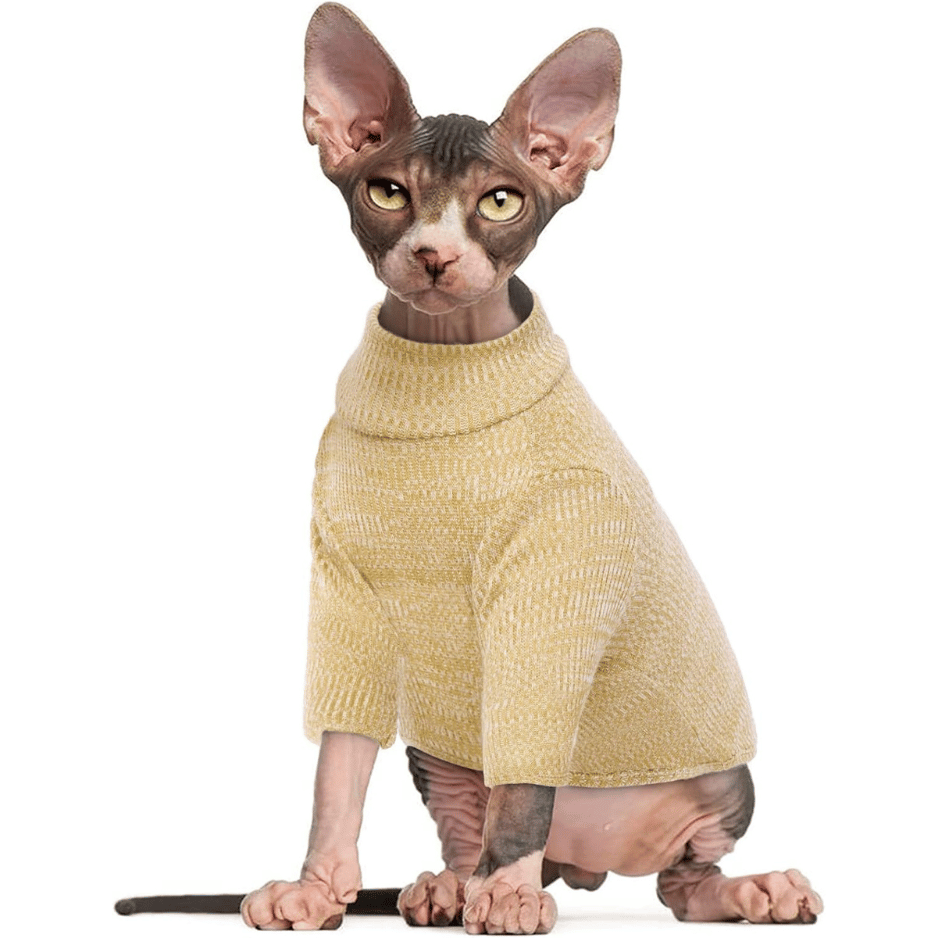 Sphynx Hairless Cats khaki Sweater