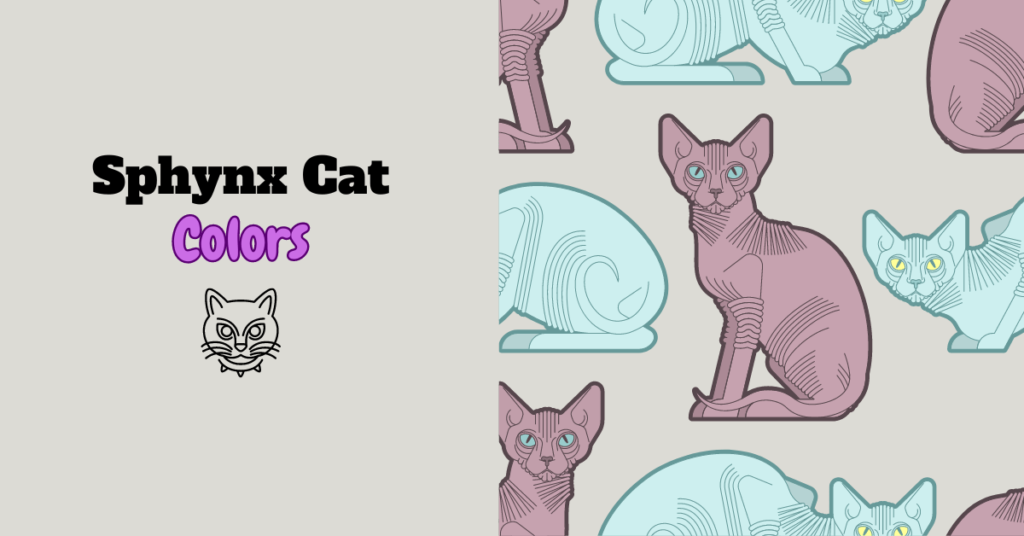 Sphynx Cat Colors: A Visual Guide to Their Unique Palette