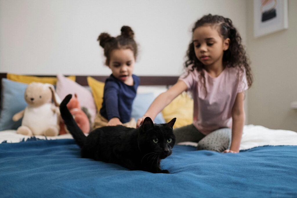 Black cat on a blue textile with children playing around.