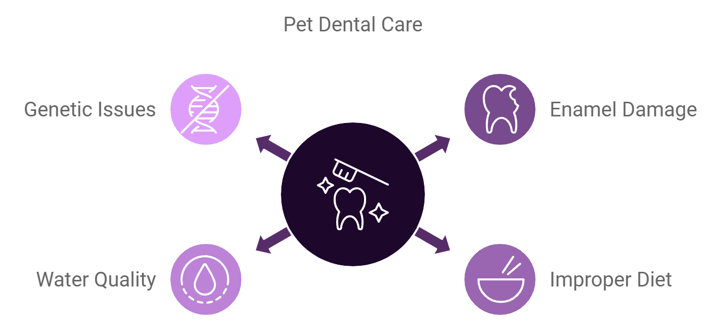 Mastering Pet Dental Care Tips For Optimal Health mastering-pet-dental-care-tips-for-optimal-health