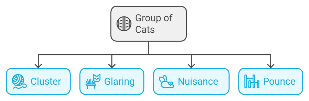 Image showing the different names of what a group of cats is called