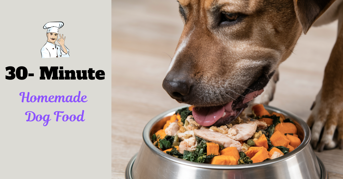 30-minute homemade dog food recipe featured image