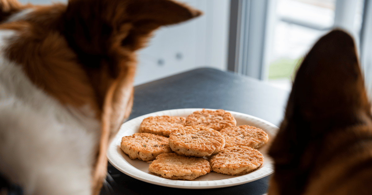 Easy Homemade Fish Patties for Dogs featured Image