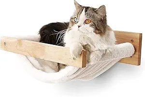 Cat Wall Hammock Image