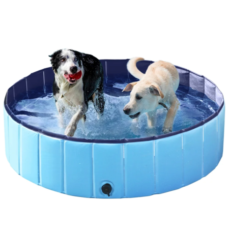 Foldable pet swimming pool for dogs and cats in summer backyard