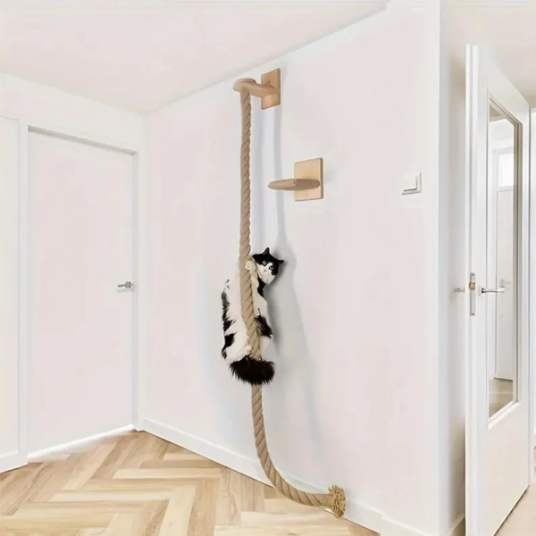 Wall-Mounted Rope & Step Set with Scratching Surface