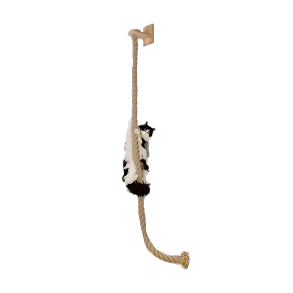 Wall-Mounted Rope & Step Set with Scratching Surface - Image 2