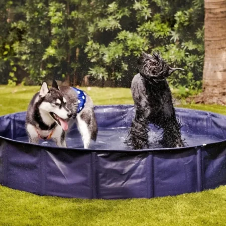 Large navy blue dog pool for summer backyard playtime