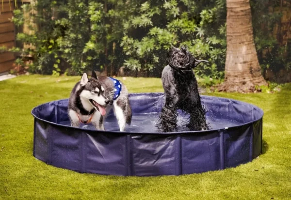 Large navy blue dog pool for summer backyard playtime
