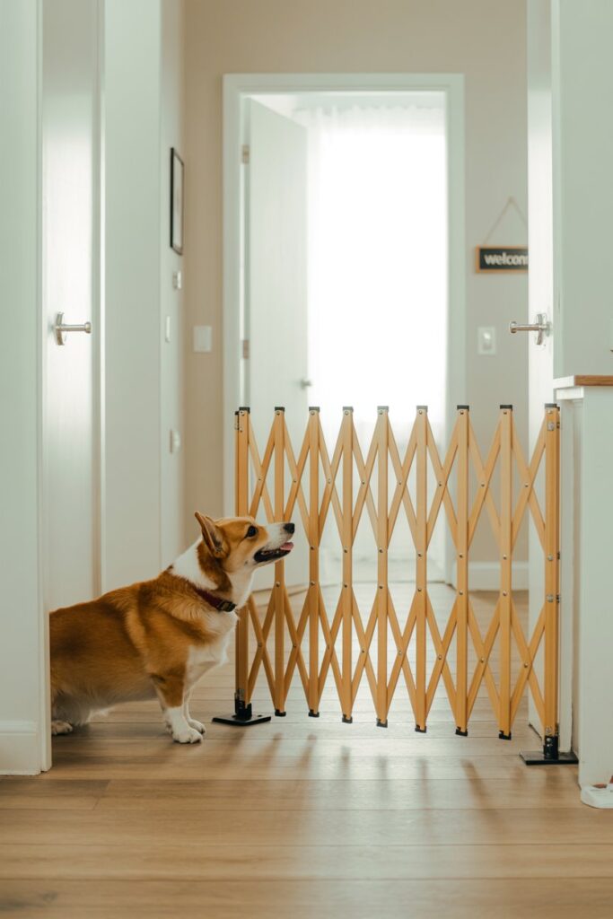 Lightweight birch plywood fold-away dog gate—renter-friendly Dog Room Idea