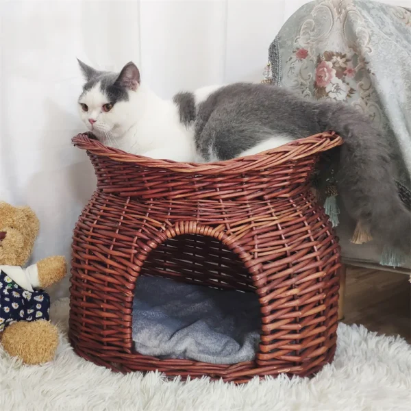 Modern boho cat bed with elevated balcony and enclosed sleeping cave
