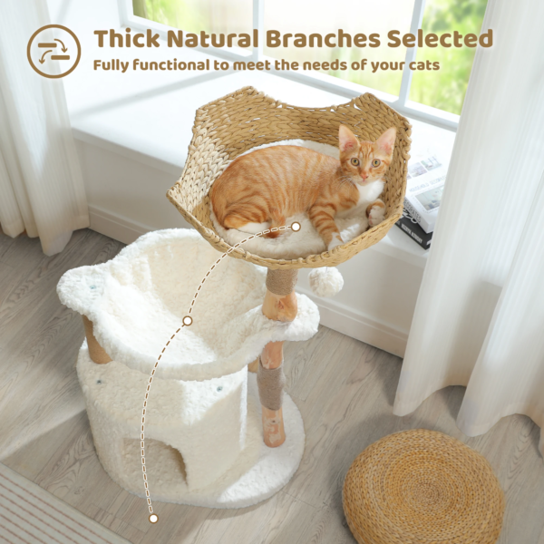 Luxury wooden cat condo with rattan basket and plush bedding for stylish homes