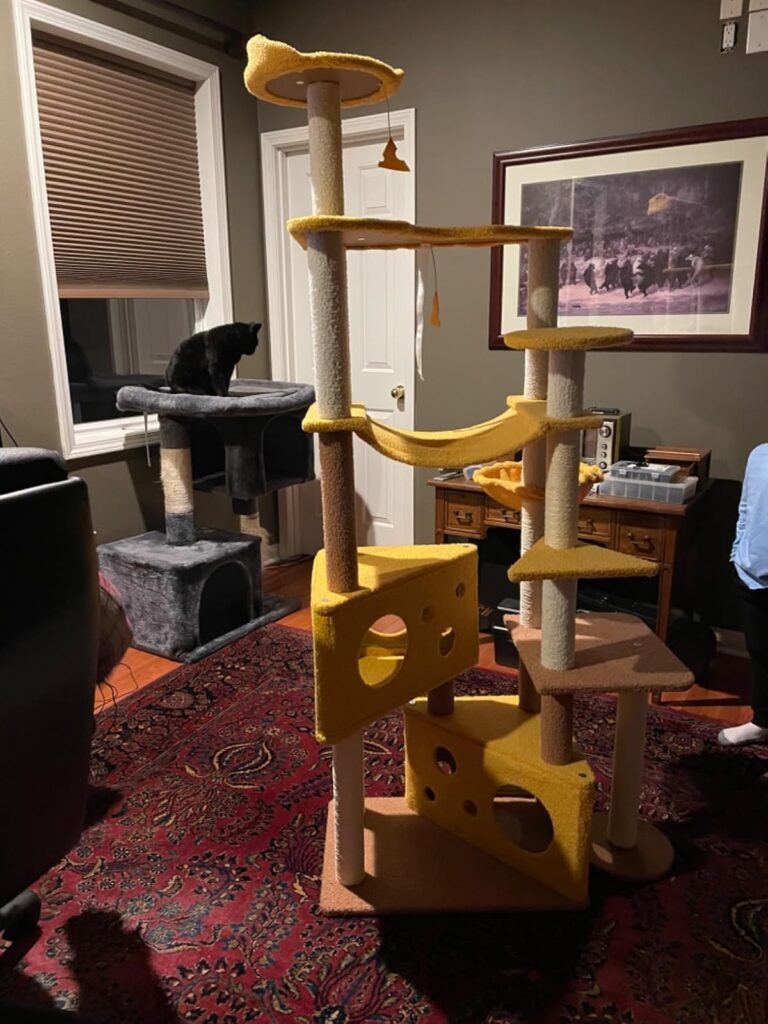 Cheese-themed cat tree for multi-cat fun review 3