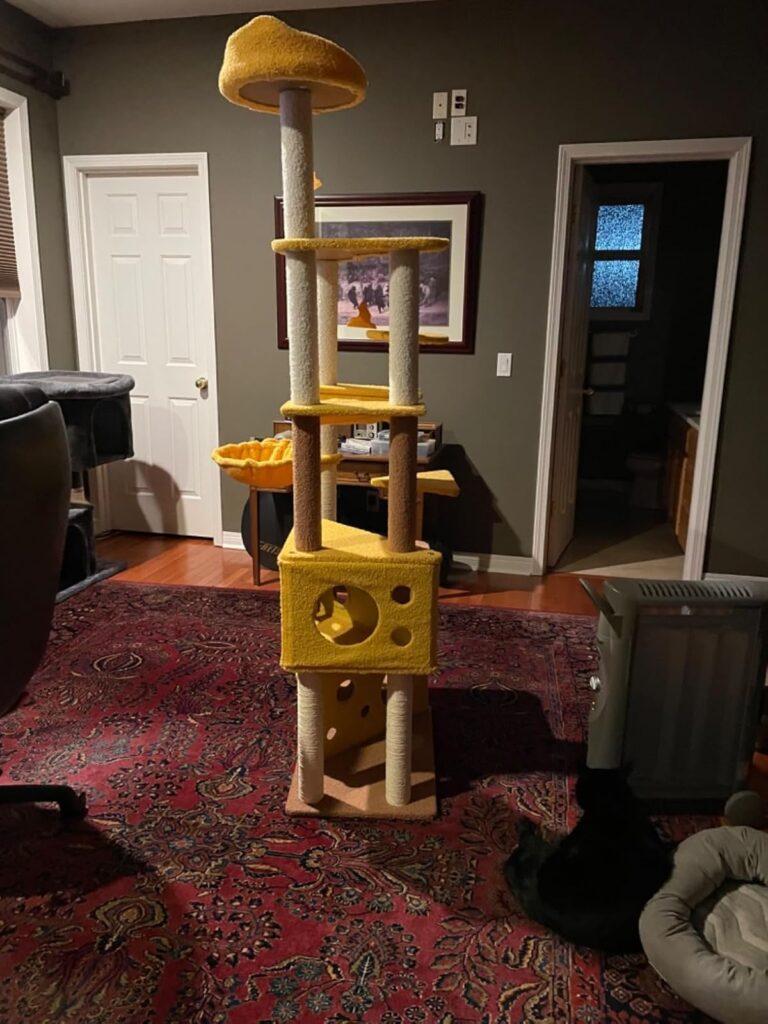 Cheese-themed cat tree for multi-fun cat review 2