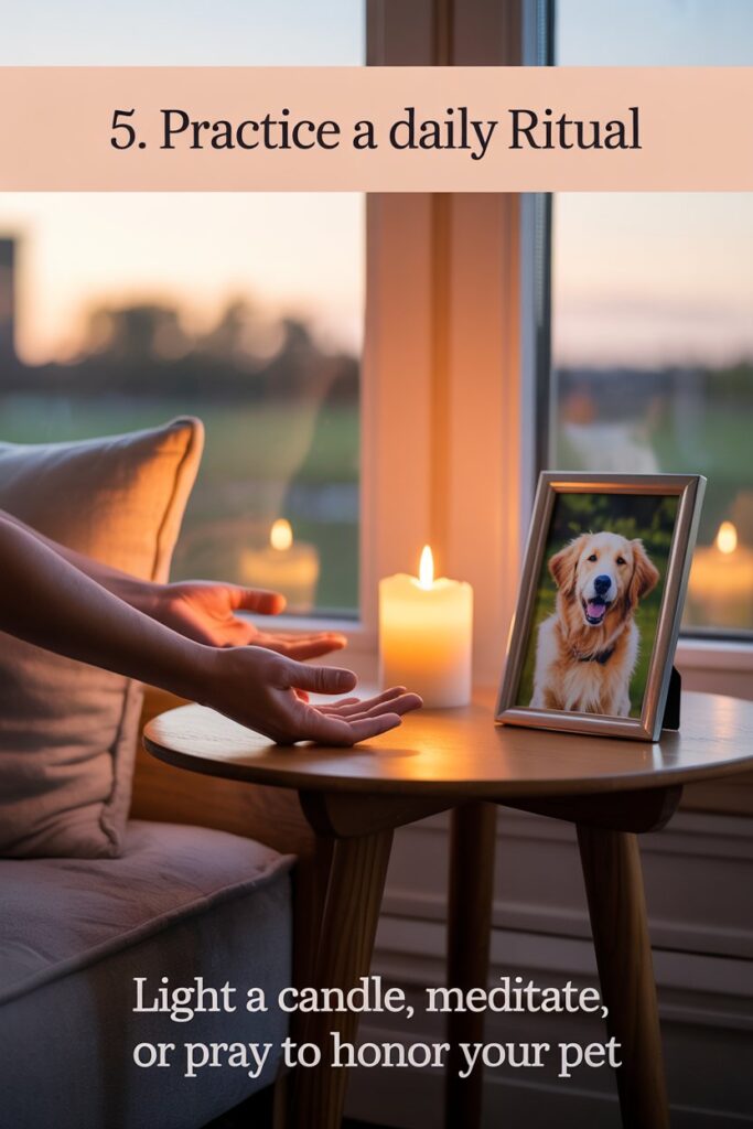 Golden-hour glow with lit candle and pet picture on table for pet loss support and daily remembrance ritual.
