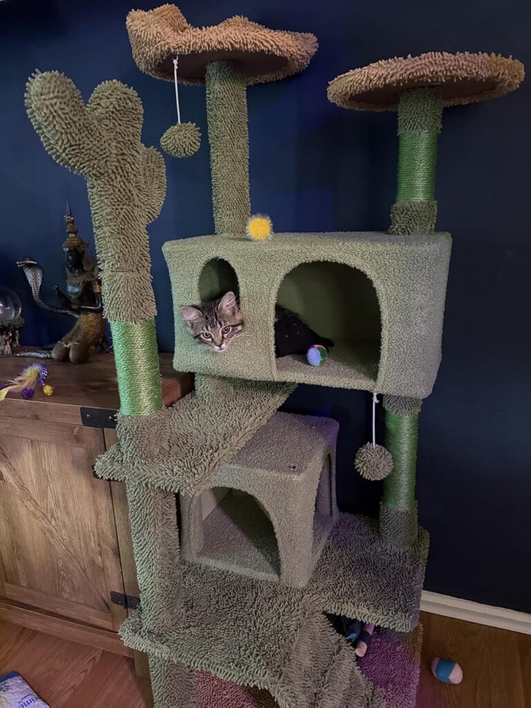 Green and brown 54.5" cat tower featuring ramp, animal-ear perch, and hanging toy ball