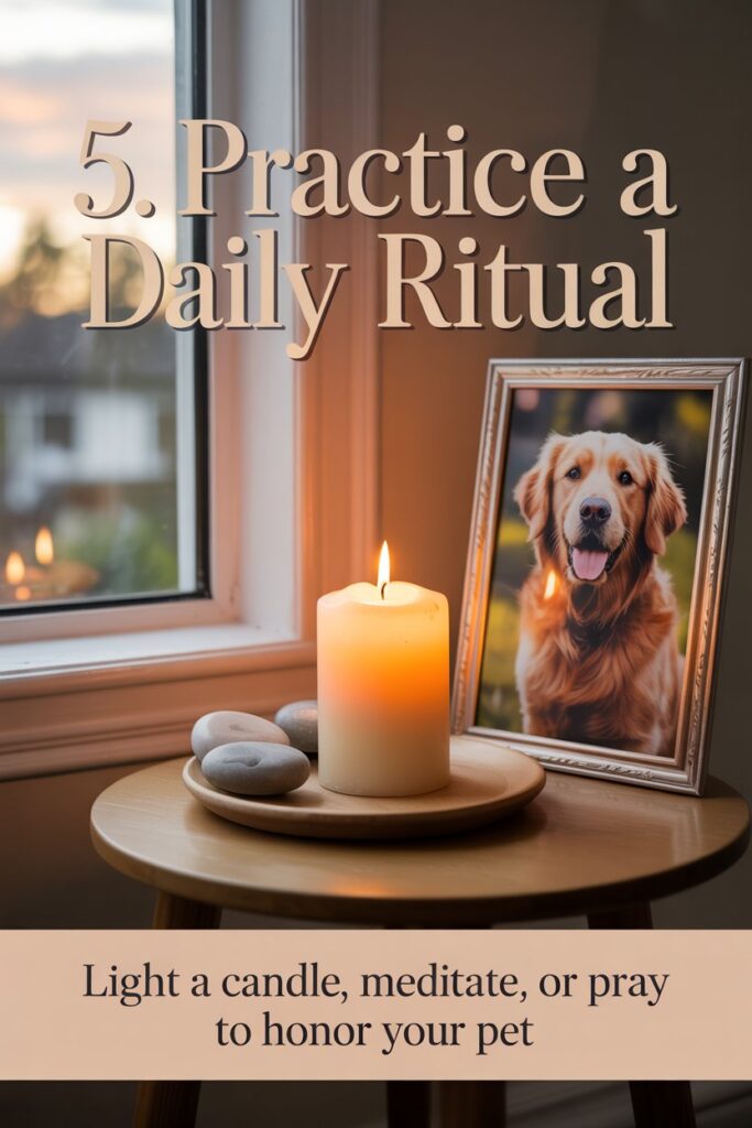 Lit ivory candle and framed pet photo at sunset for coping with pet loss through a daily ritual.