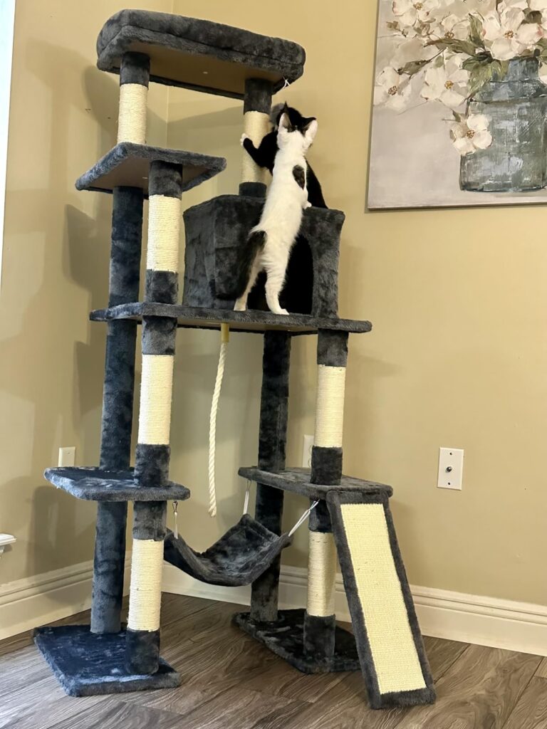 Multi-Level Cat Tree with Hammock & Condo review 1