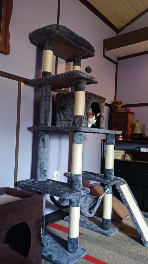 Multi-Level Cat Tree with Hammock & Condo review 4